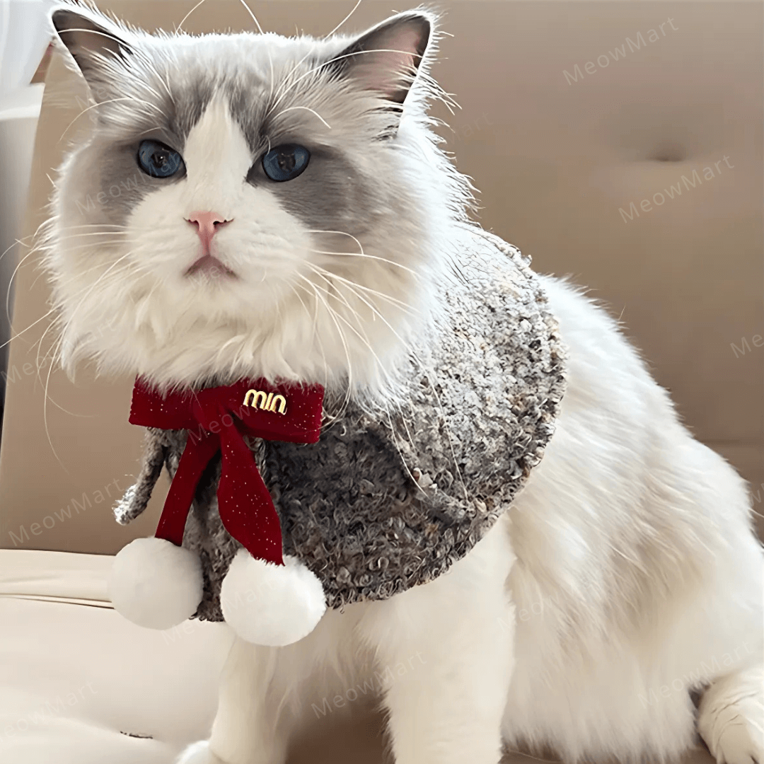 冬日蝴蝶結披肩