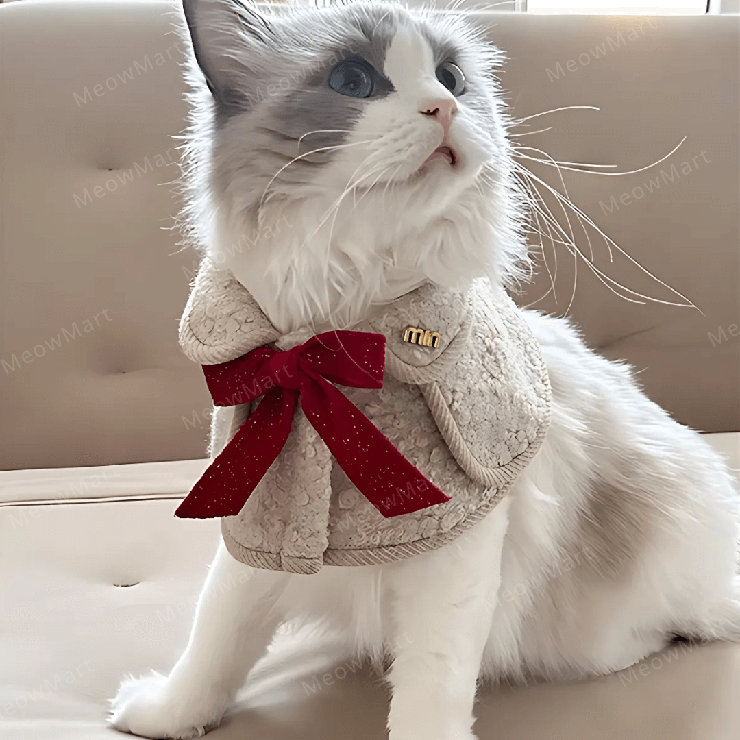 冬日蝴蝶結披肩