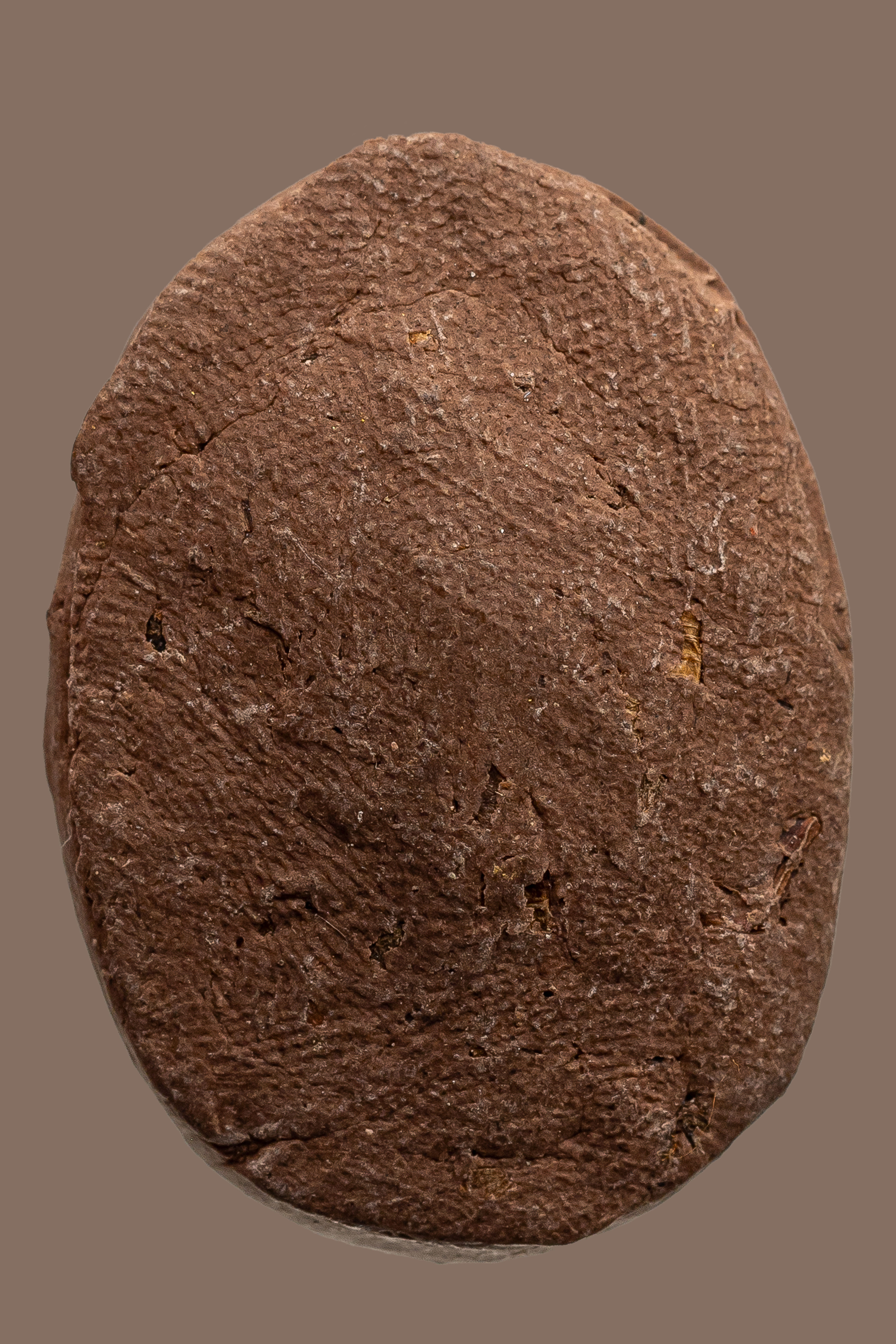 『泰國佛牌』頭幫『99歲合掌自身』龍普Im 龍普印 瓦通納邁 05241216