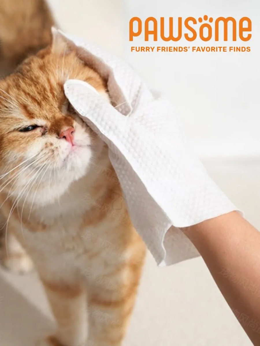 【PAWSOME】玻尿酸SPA｜嚕嚕手套