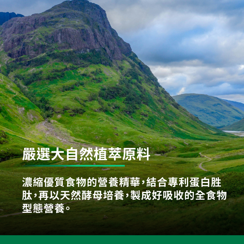 濃縮優質食物的營養精華,結合專利蛋白胜肽,再以天然酵母搭配,製成好吸收的全食物形態營養