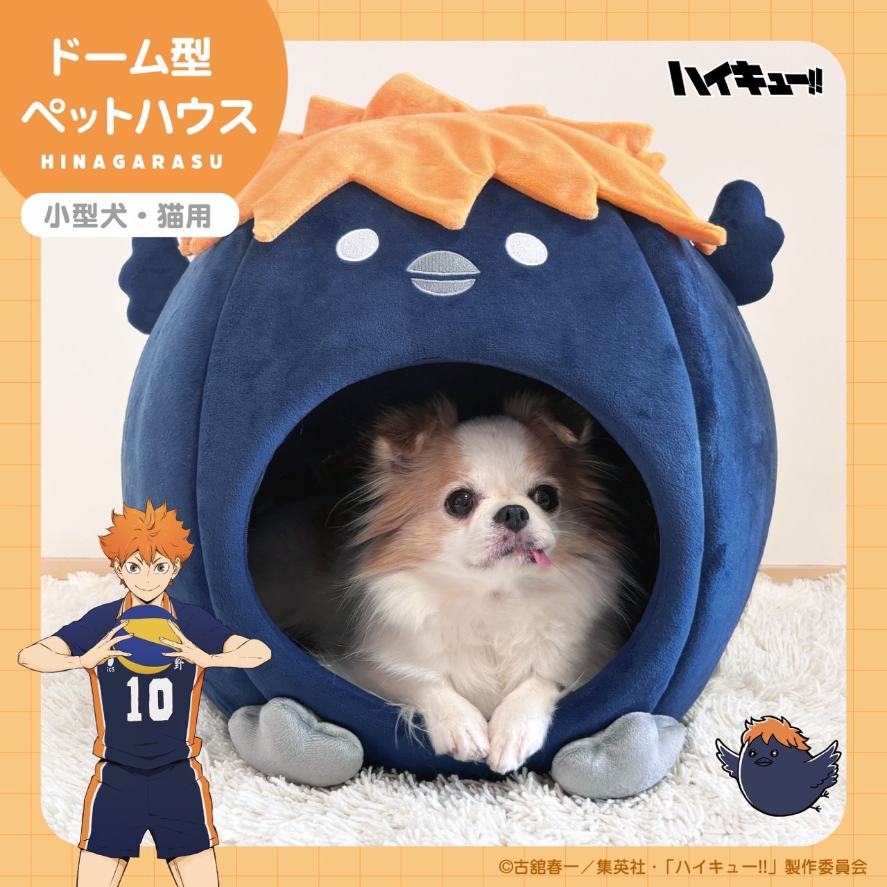 可愛的排球少年寵物窩