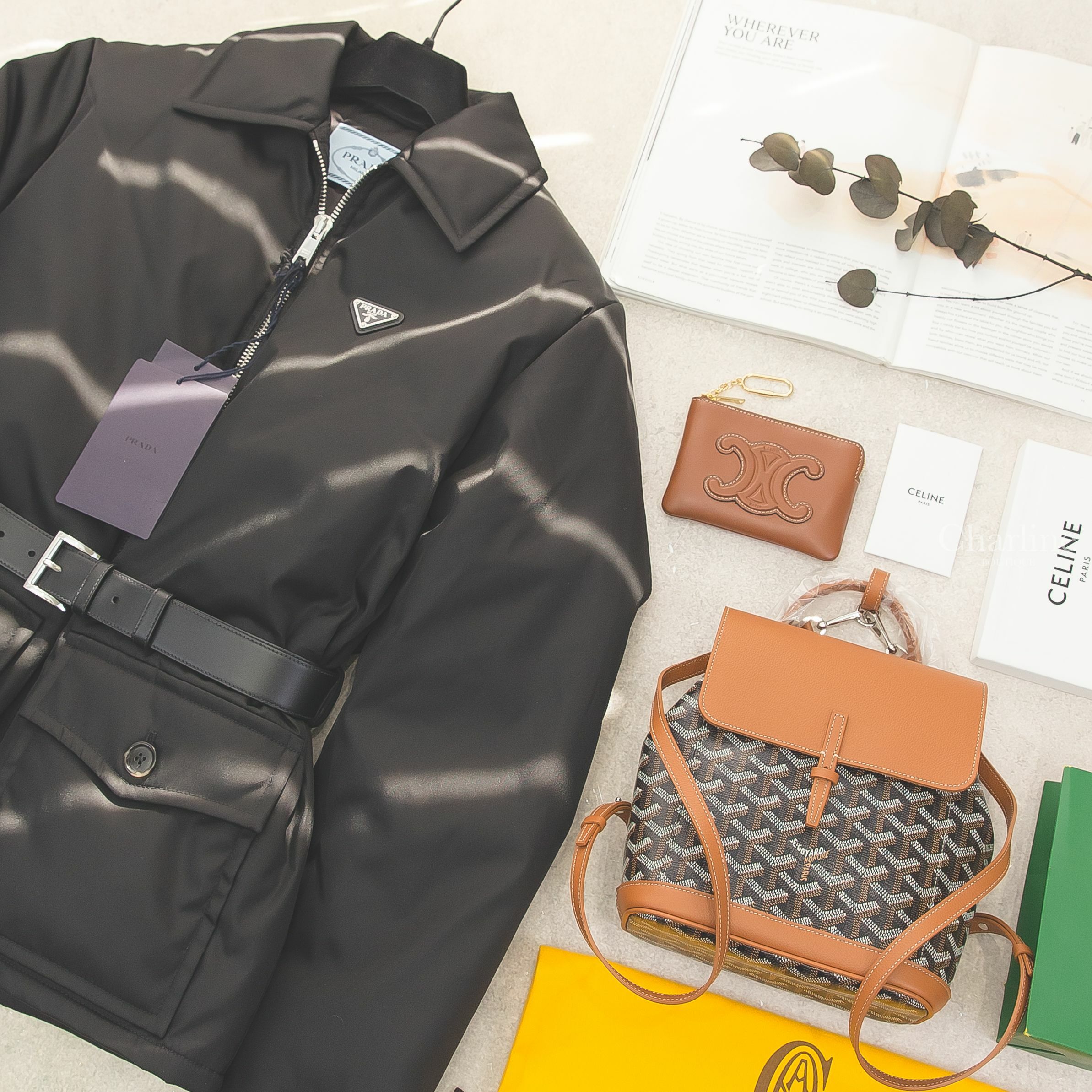 Goyard Alpin Mini Backpack 黑色拼咖啡色帆布咖啡色小牛皮迷你手提後背包,Celine Coin And Card Pouch 棕褐色凱旋門小牛皮金釦鑰匙拉鍊零錢包-Charline Boutique 精品代購