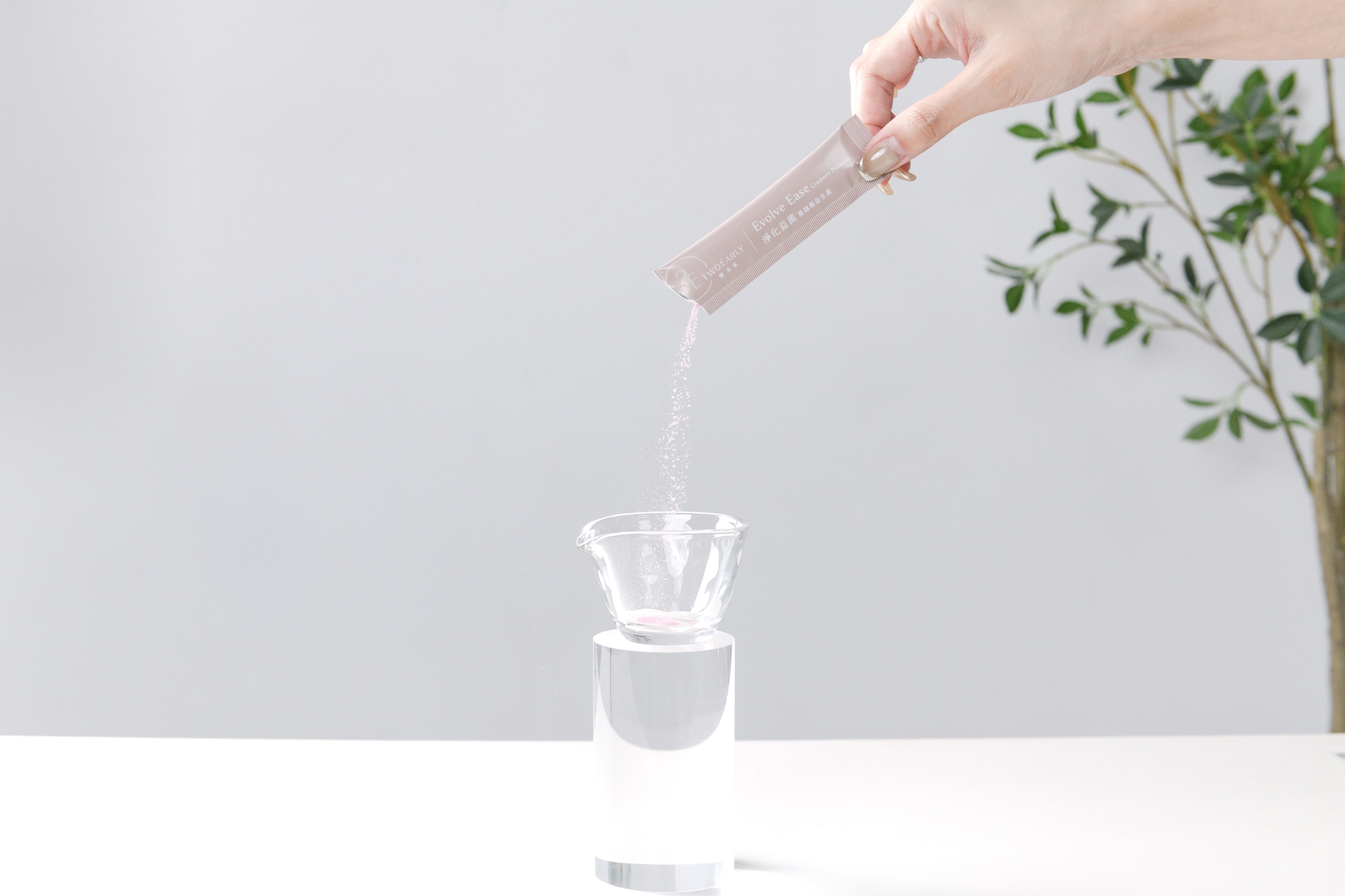 淨化益菌 蔓越莓益生菌