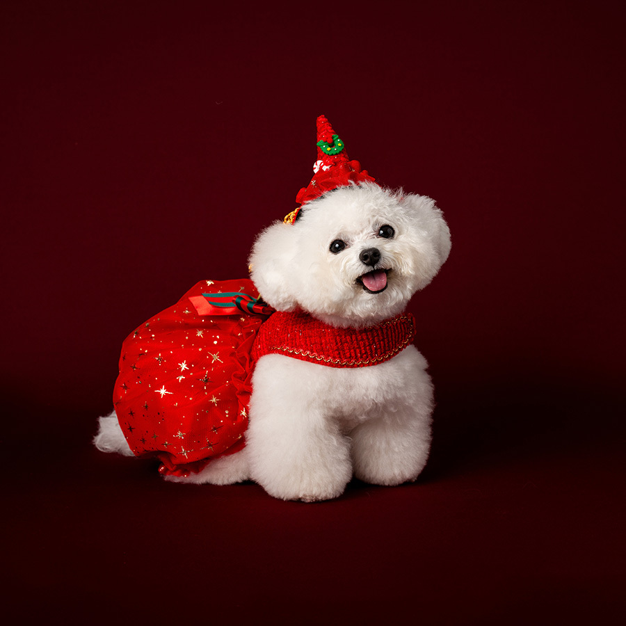 [Delivered from Korea]Santa Bag Harness