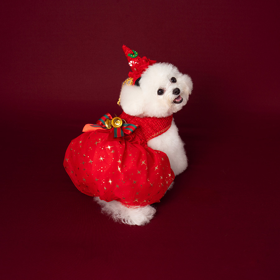 [Delivered from Korea]Santa Bag Harness
