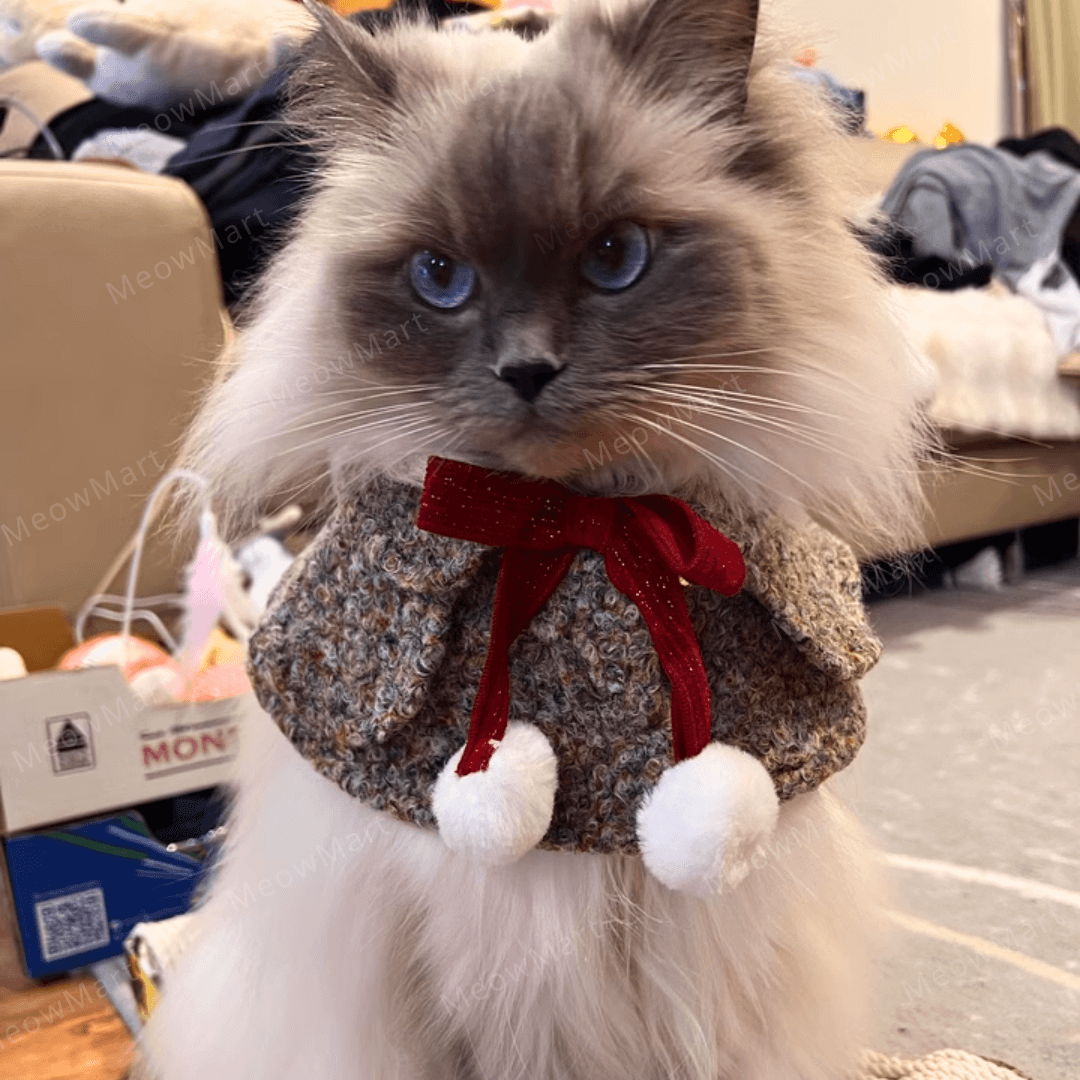 冬日蝴蝶結披肩