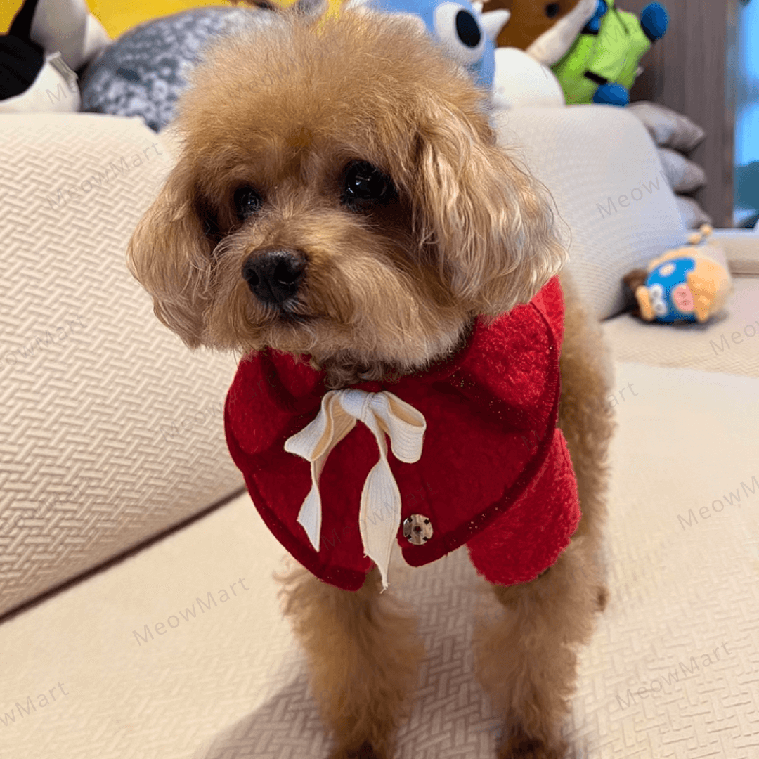 冬日蝴蝶結披肩