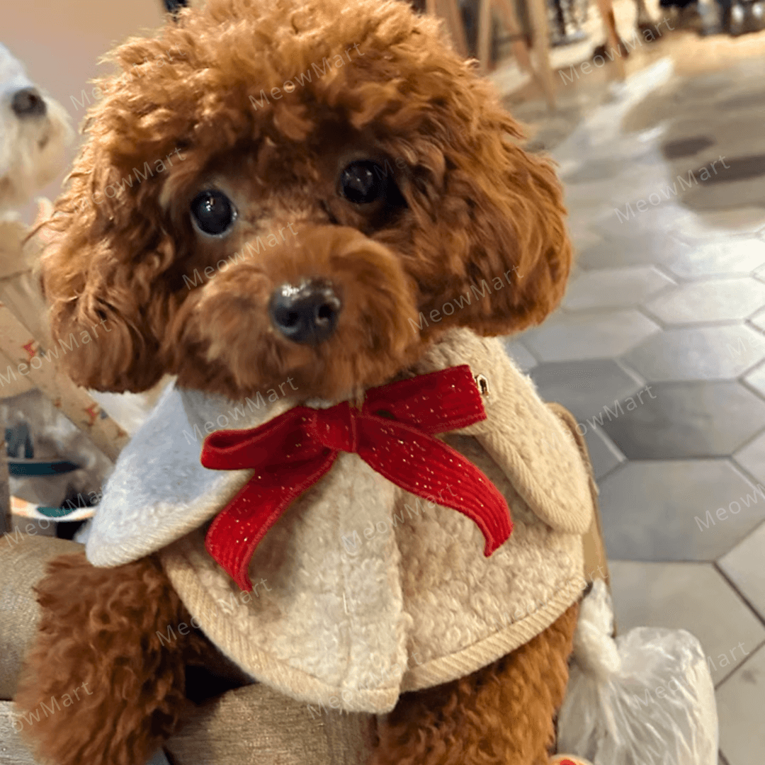 冬日蝴蝶結披肩