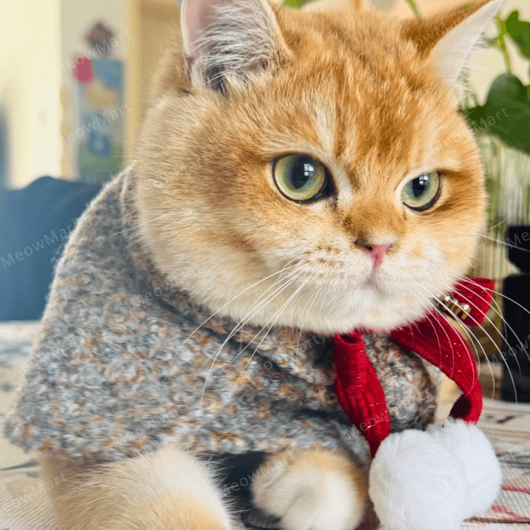 冬日蝴蝶結披肩