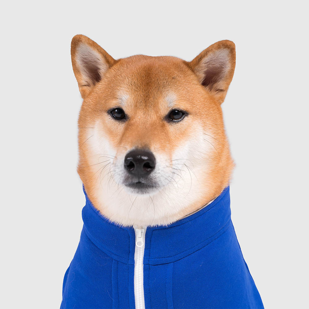 PETS WEAR | 撞色半拉鍊衣