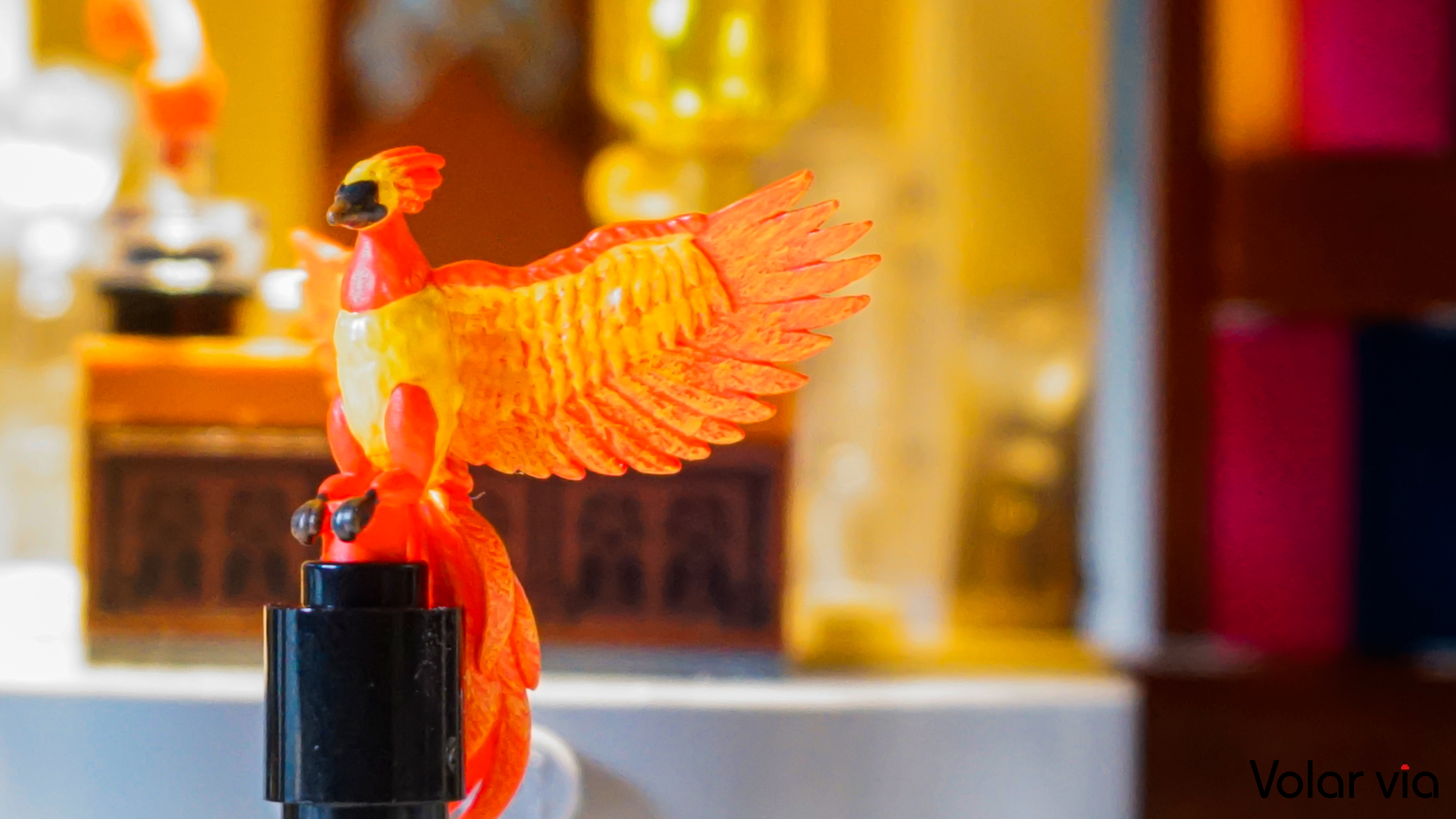 【Volar Via】鄧不利多教授