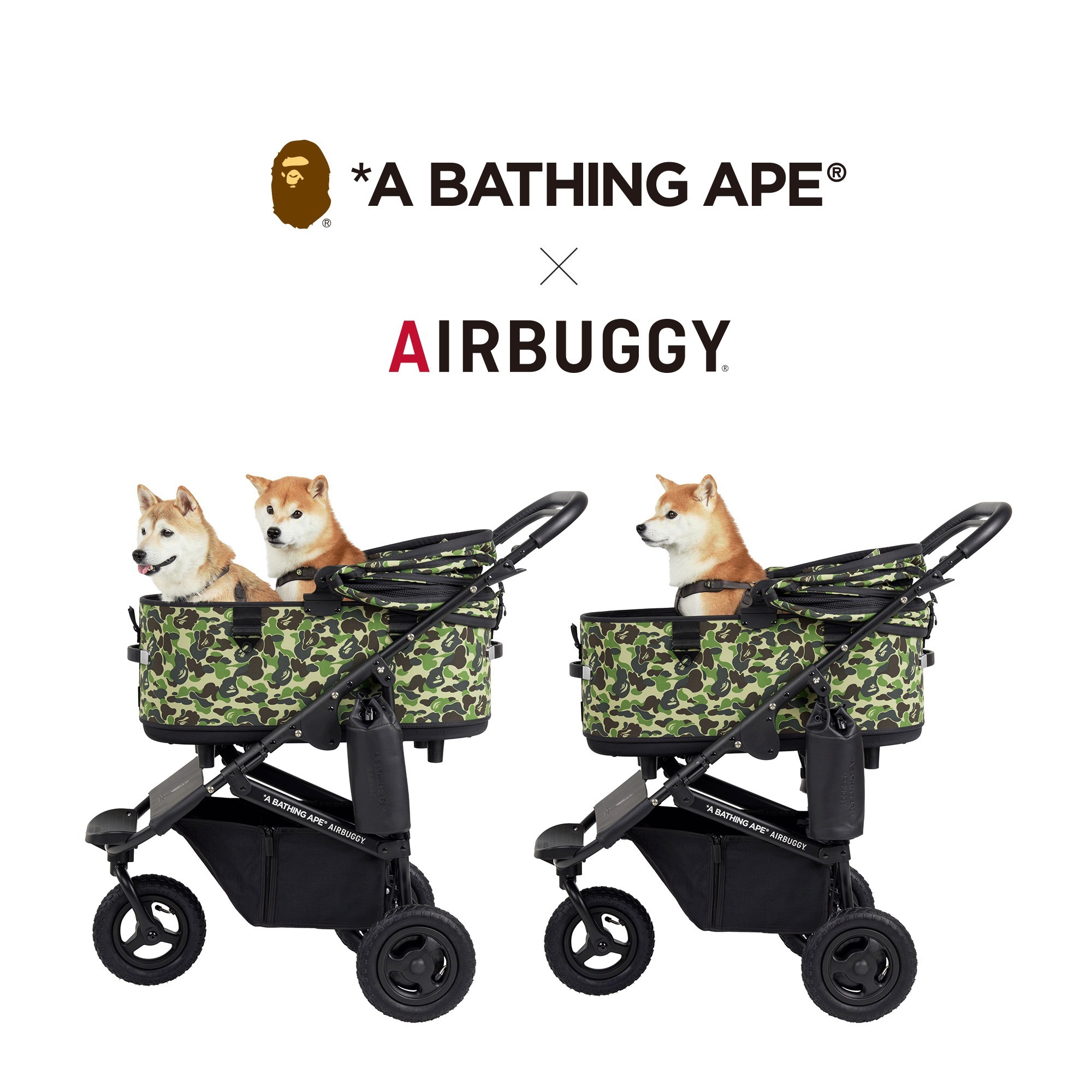 2024-25 A BATHING APE®×AIRBUGGY DOME3 LARGE 限定版究極寵物推車、
