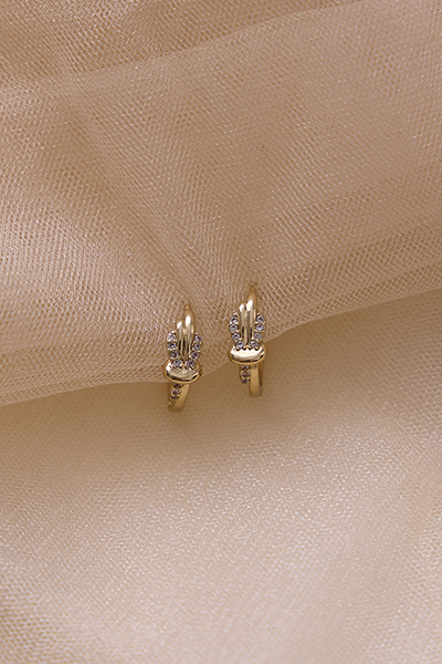 圈形繩結鋯石。銀針耳環