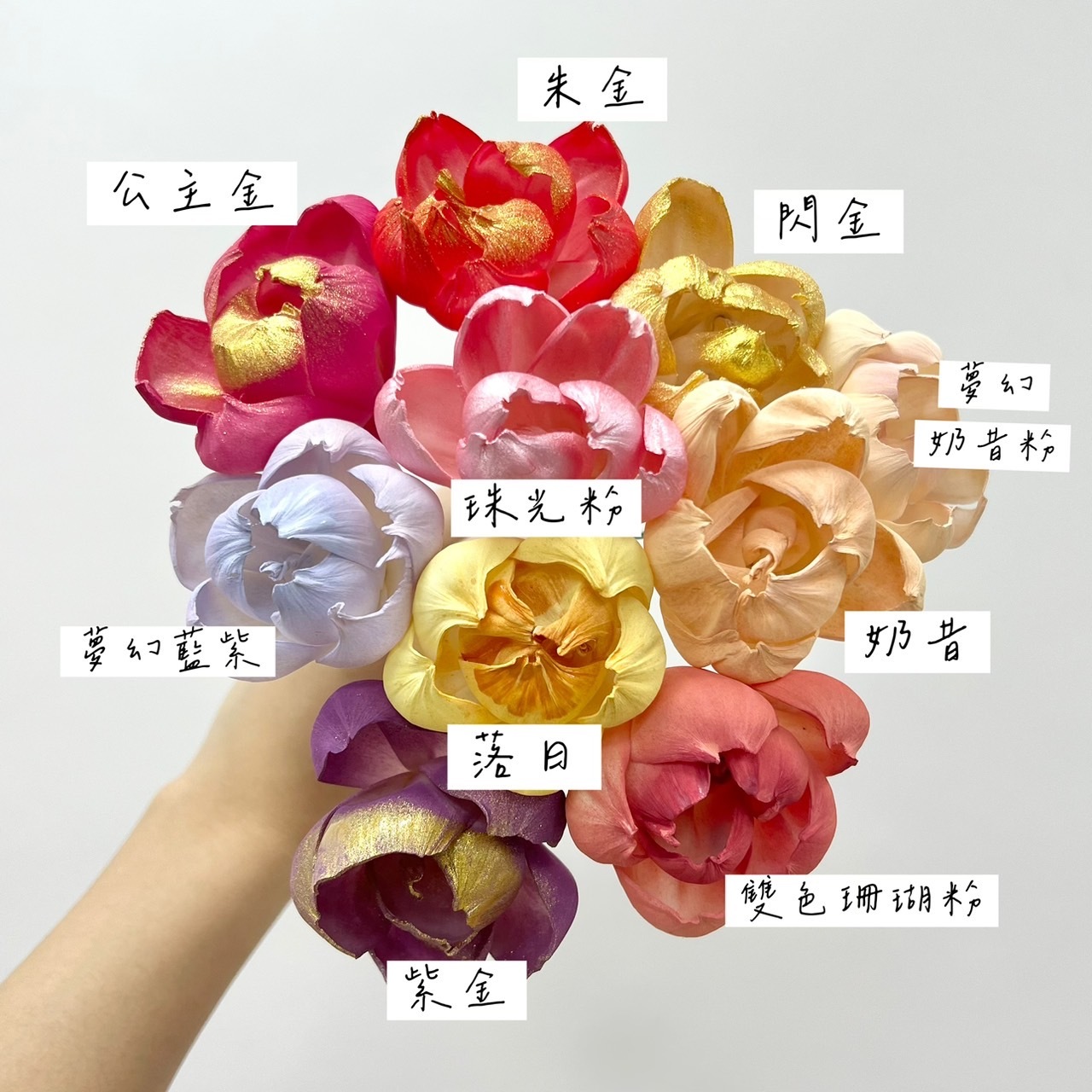 越南索拉花 牡丹6CM<十支一把>