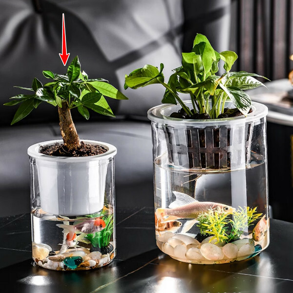 創意水培花瓶--綠蘿透明塑膠花盆 裝飾擺件【圓柱小號 水培款】1件