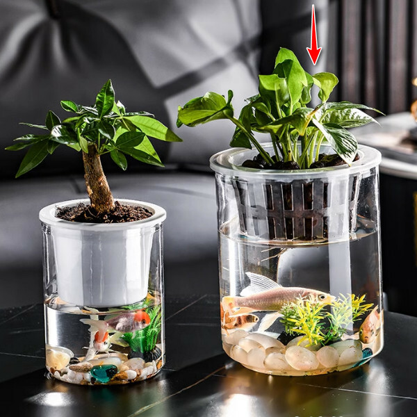 創意水培花瓶--綠蘿透明塑膠花盆 裝飾擺件【圓柱大號 水培款】1件