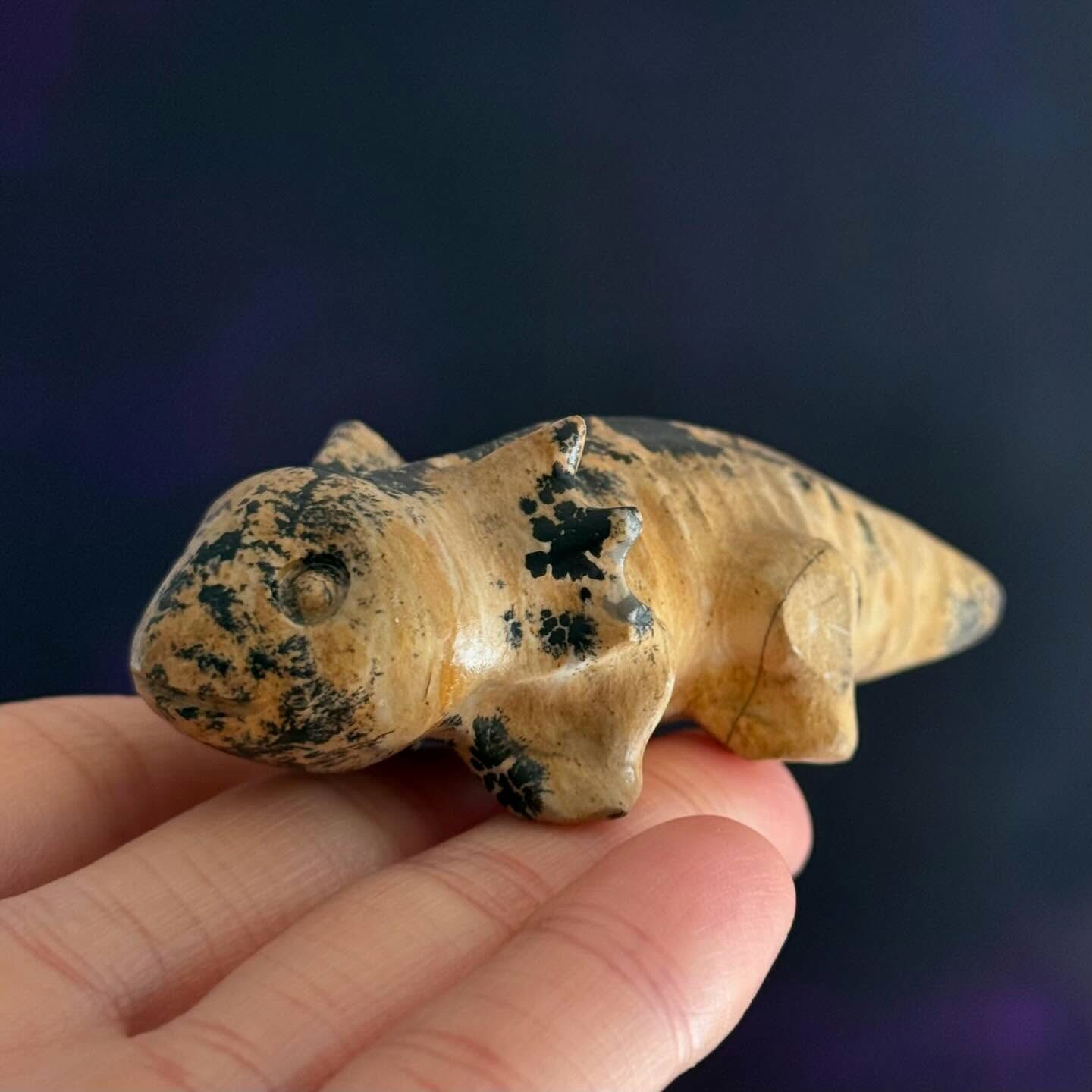 [原石] 國畫石 彈塗魚