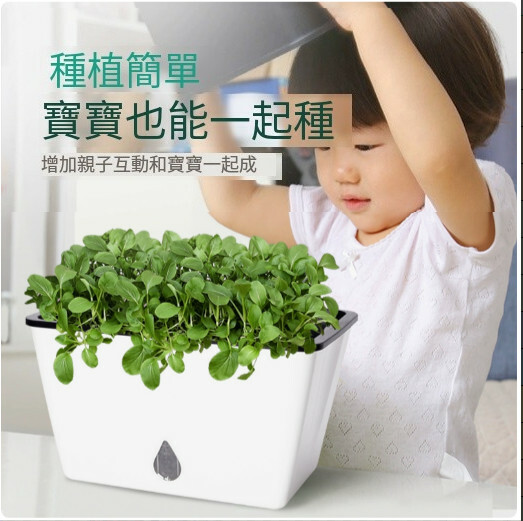 自動吸水長方形菜盆-蔬菜種植箱 陽台植物盆栽【水滴小款】1件