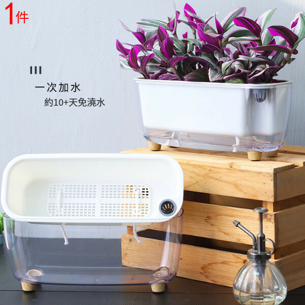 自動吸水透明花盆-蔬菜種植箱 陽台种菜盆【透明白】1件