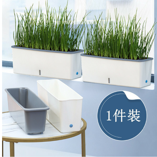 1件裝 自動吸水窄邊花盆-蔬菜種植箱 陽台种菜盆【SC06款灰白色】*1件