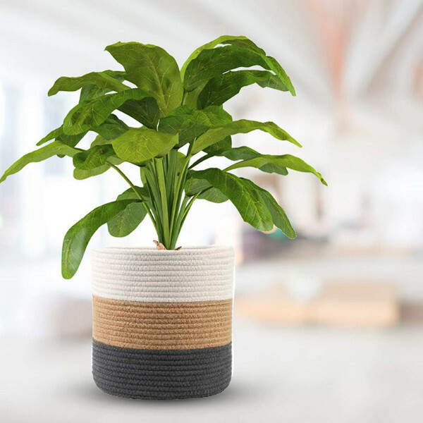 棉繩植物籃--收納籃收納籃  室內綠植花盆裝飾【25*25cm】1件