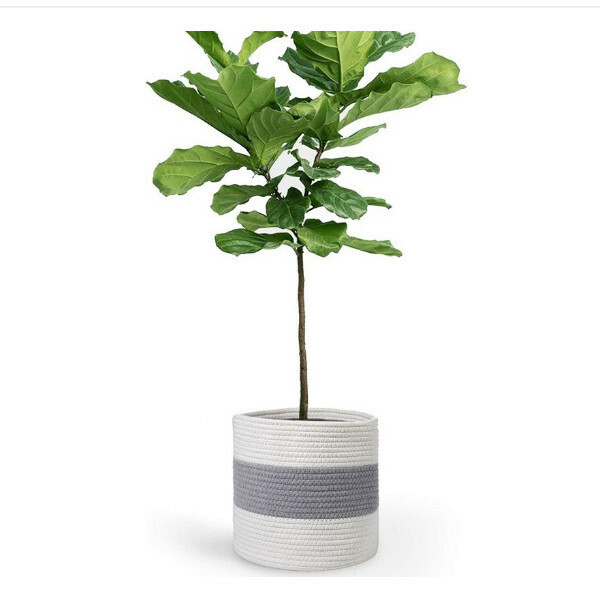 棉繩植物籃--收納籃收納籃  室內綠植花盆裝飾【25*25cm】1件