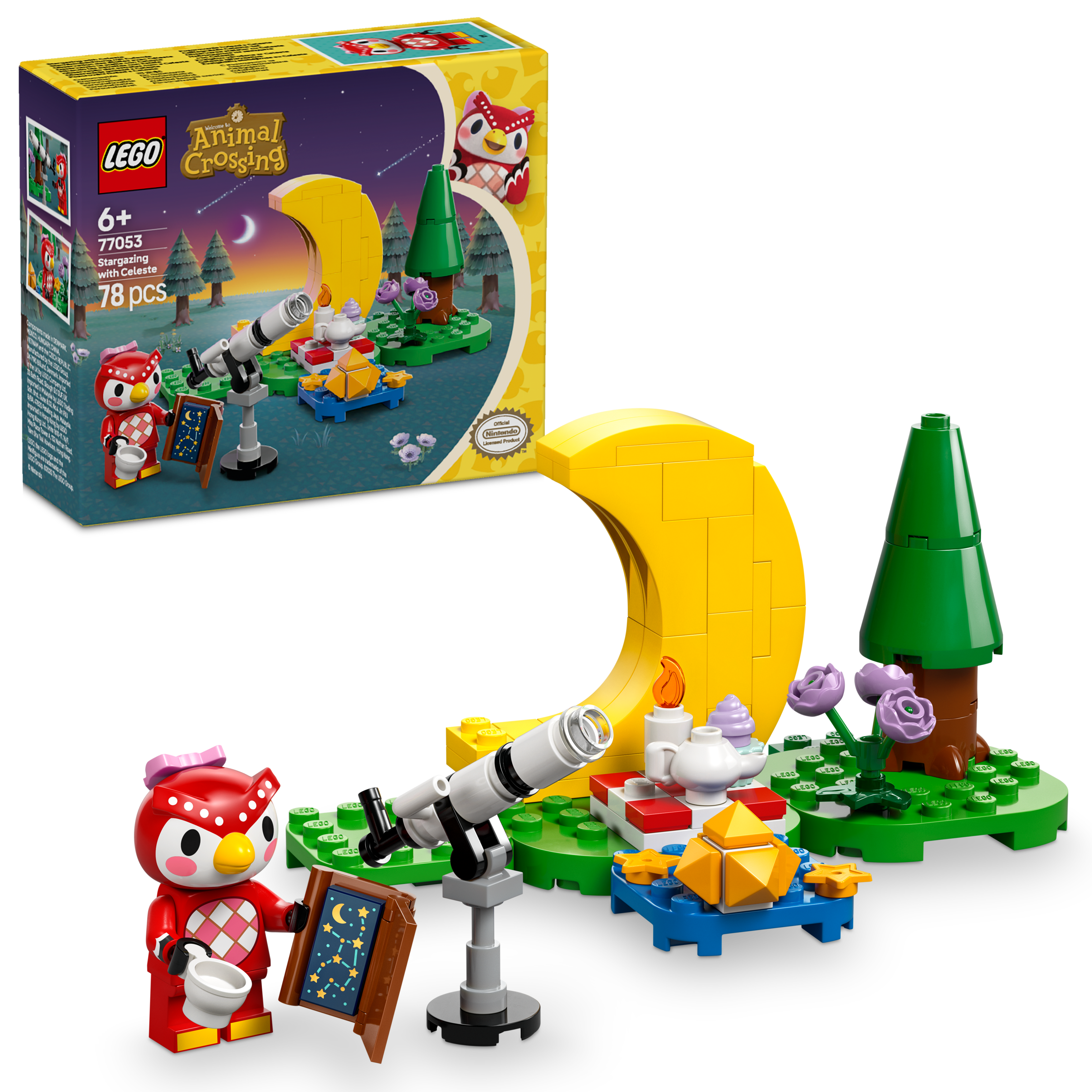 77053 傅珂的星空觀測