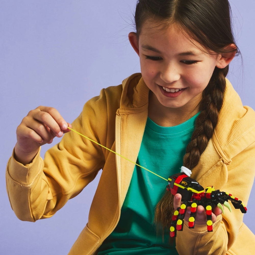 31159 野生動物：驚奇蜘蛛