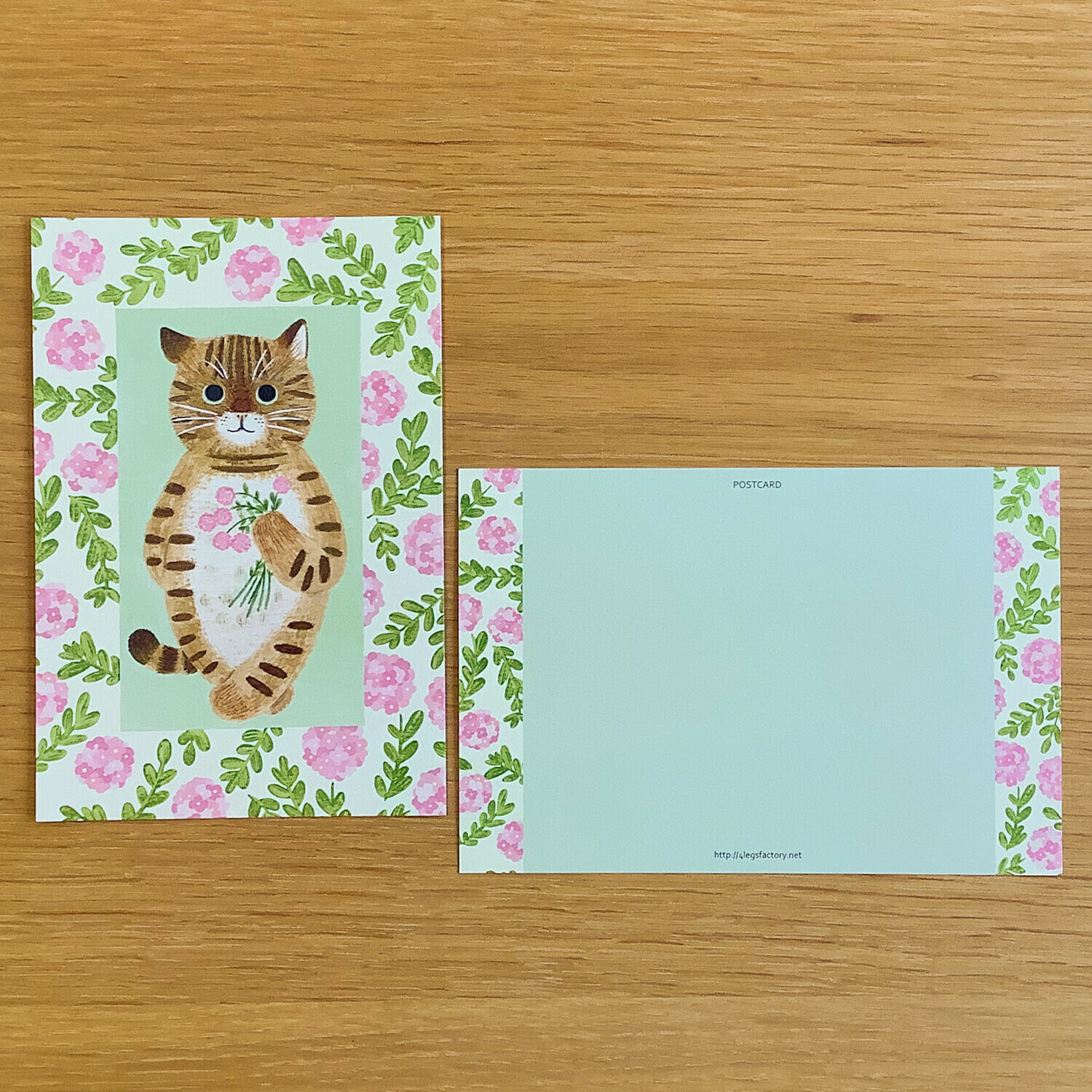 虎斑 貓咪繪本明信片｜日本 4legs