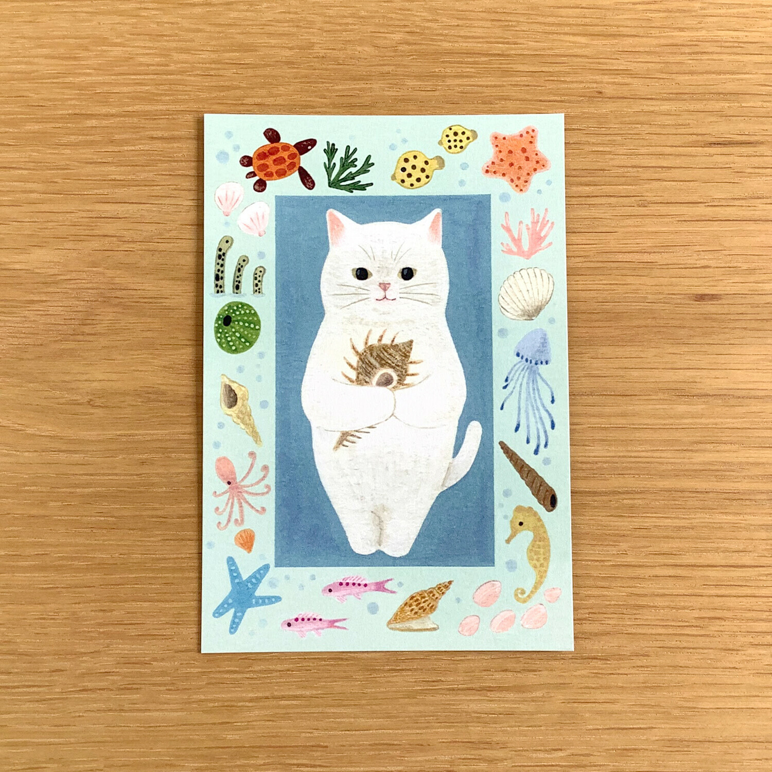 貝殼白貓 貓咪繪本明信片｜日本 4legs