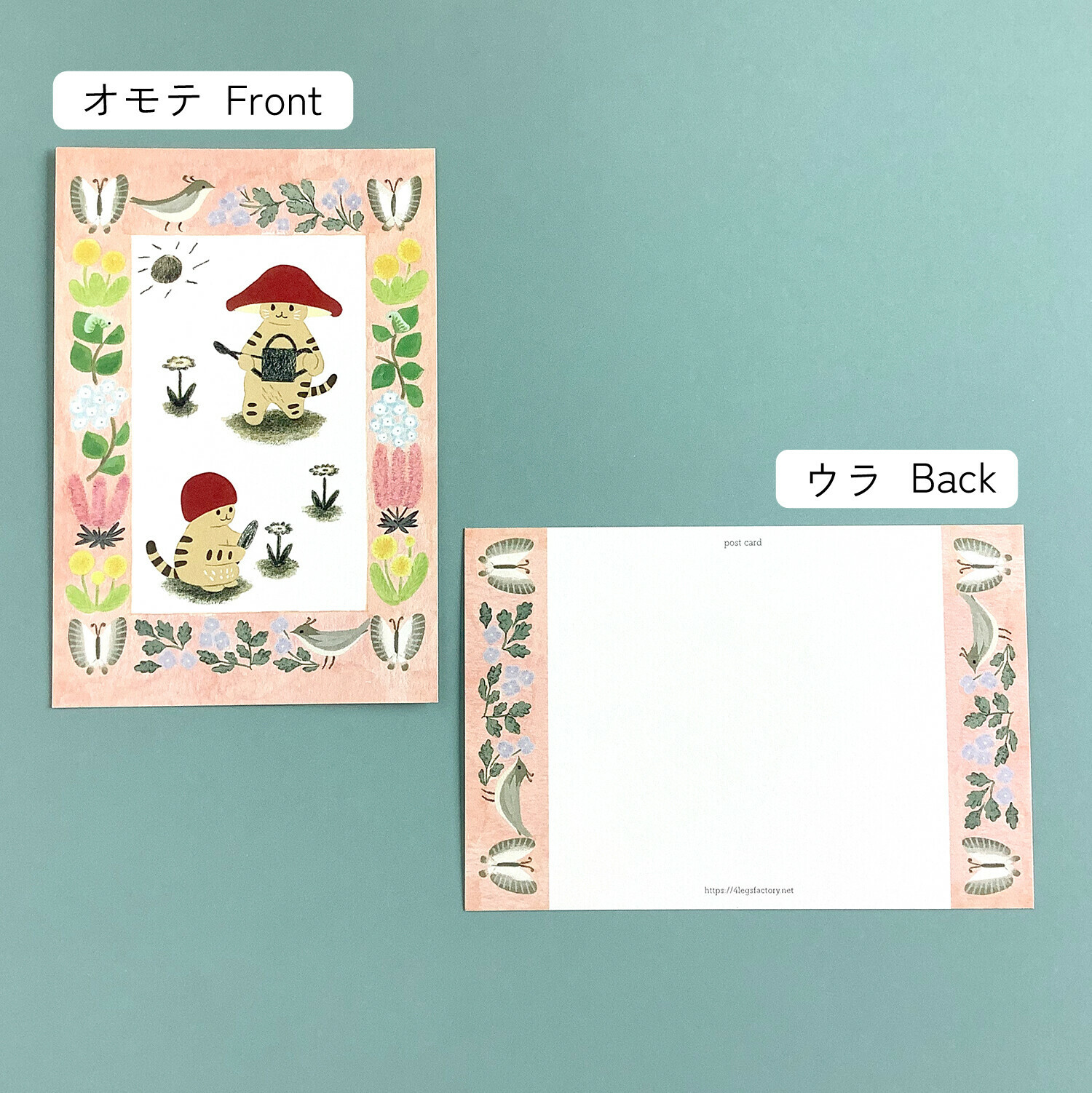 春天_蘑菇貓 貓咪繪本明信片｜日本 4legs