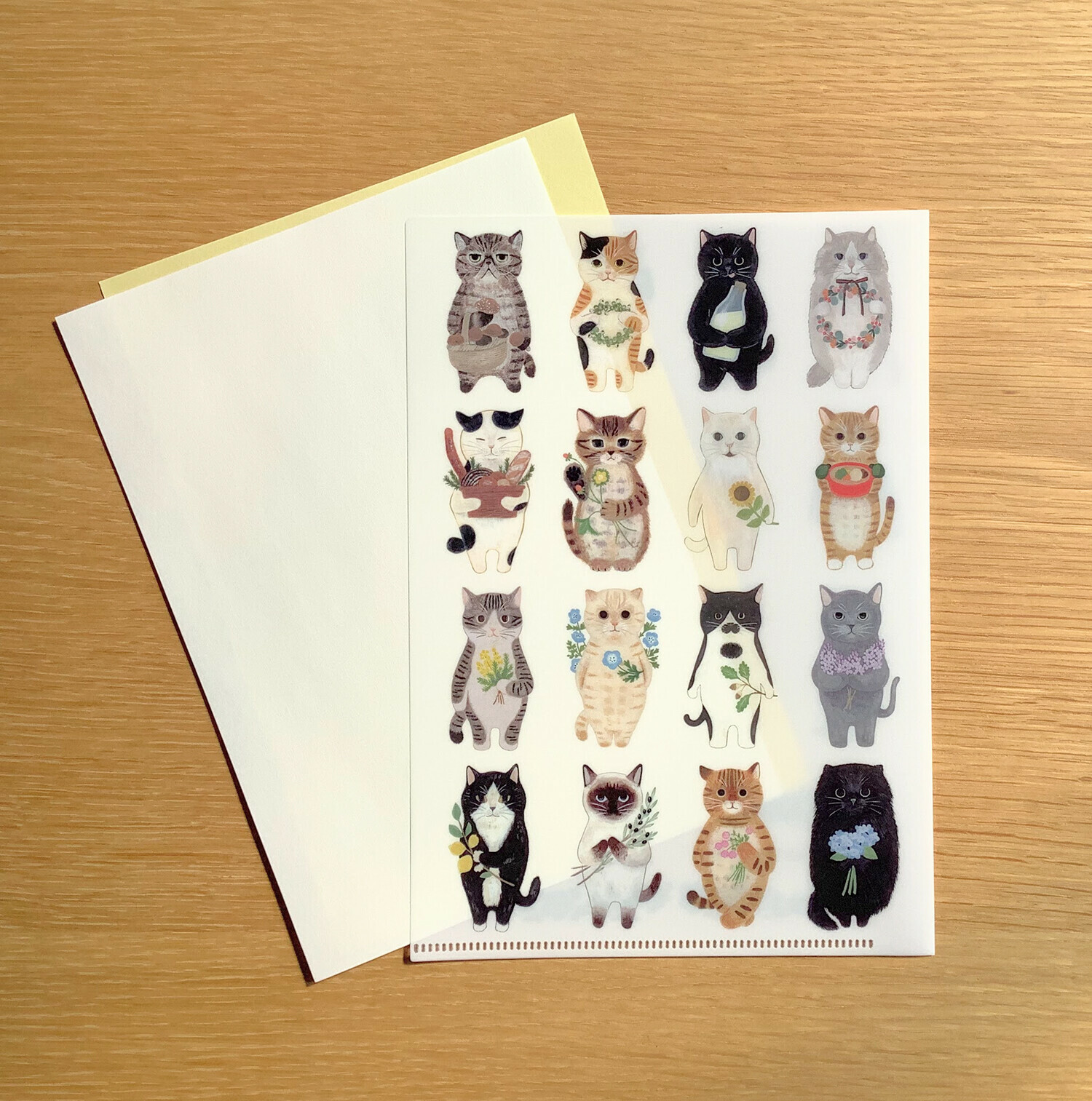 貓咪繪本 A5透明資料夾 ｜日本 4legs