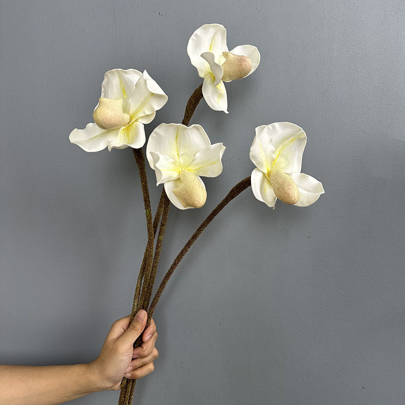 仿真3D打印EVA拖鞋蘭 (兜蘭)