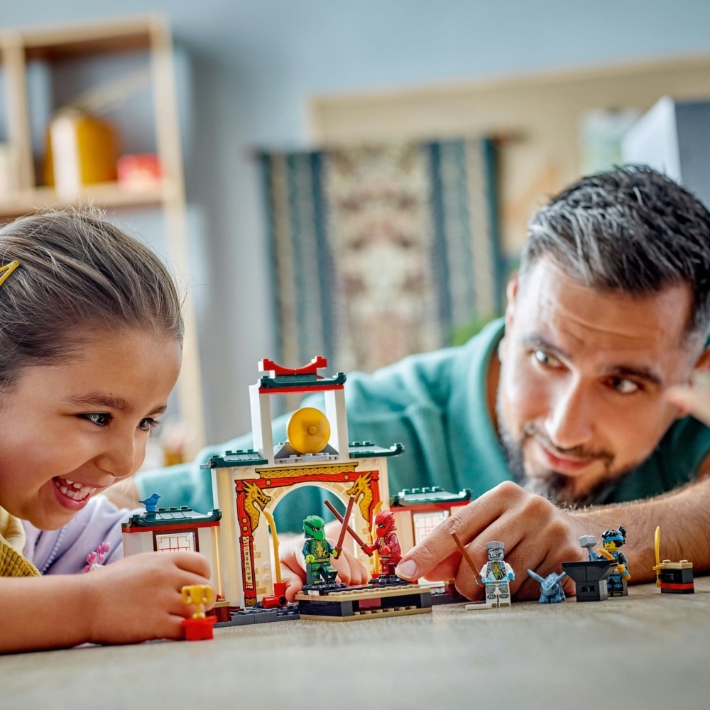 71831 旋風忍術寺