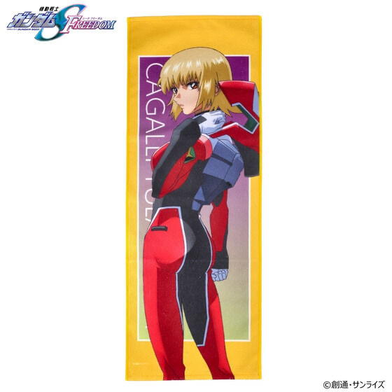 225486 Pbandai 預訂 2025/4月 機動戦士ガンダムSEED FREEDOM キャラクターイラスト フェイスタオル 第二弾（全5種）