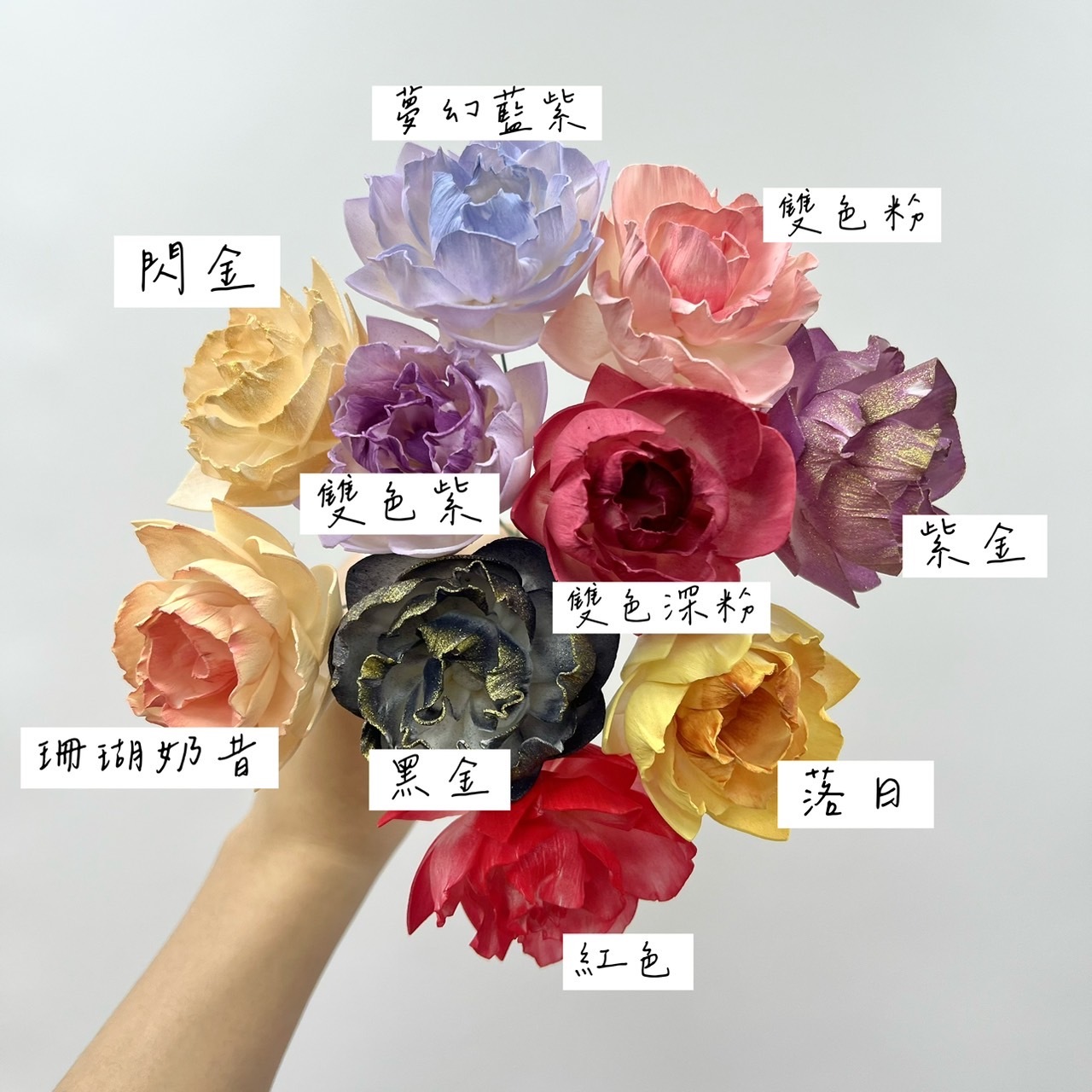 泰國索拉花 尖葉牡丹 5CM <十支一把> (高品質)