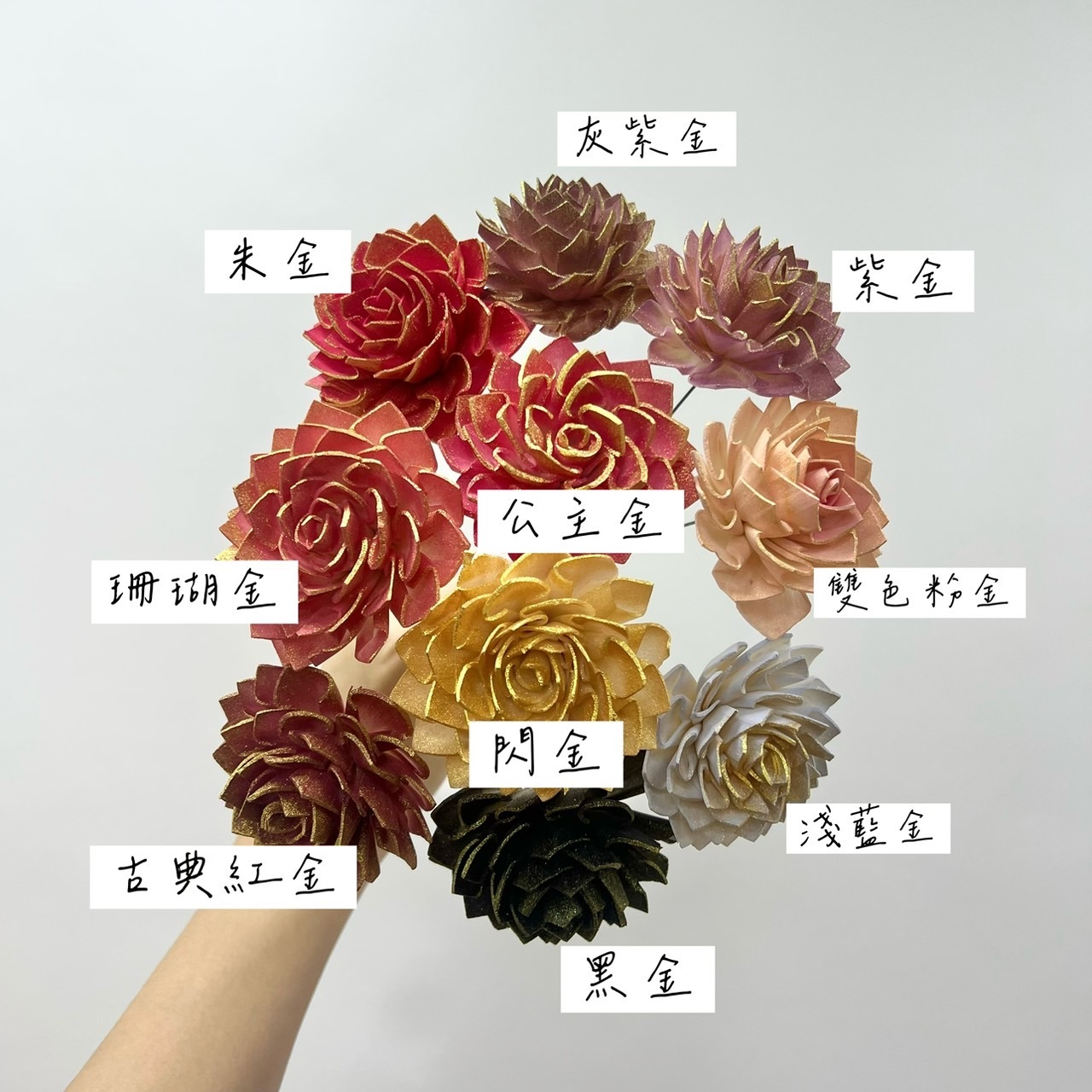 越南索拉花 大理花 6CM<十支一把>