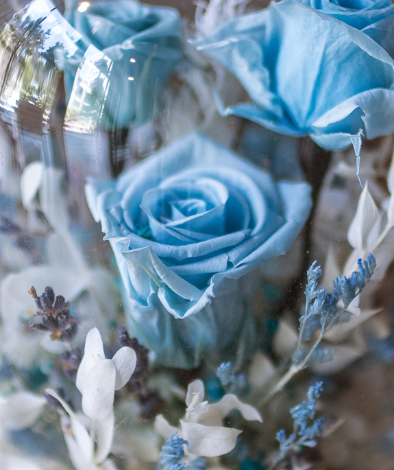 海洋之心 | 玻璃花盅