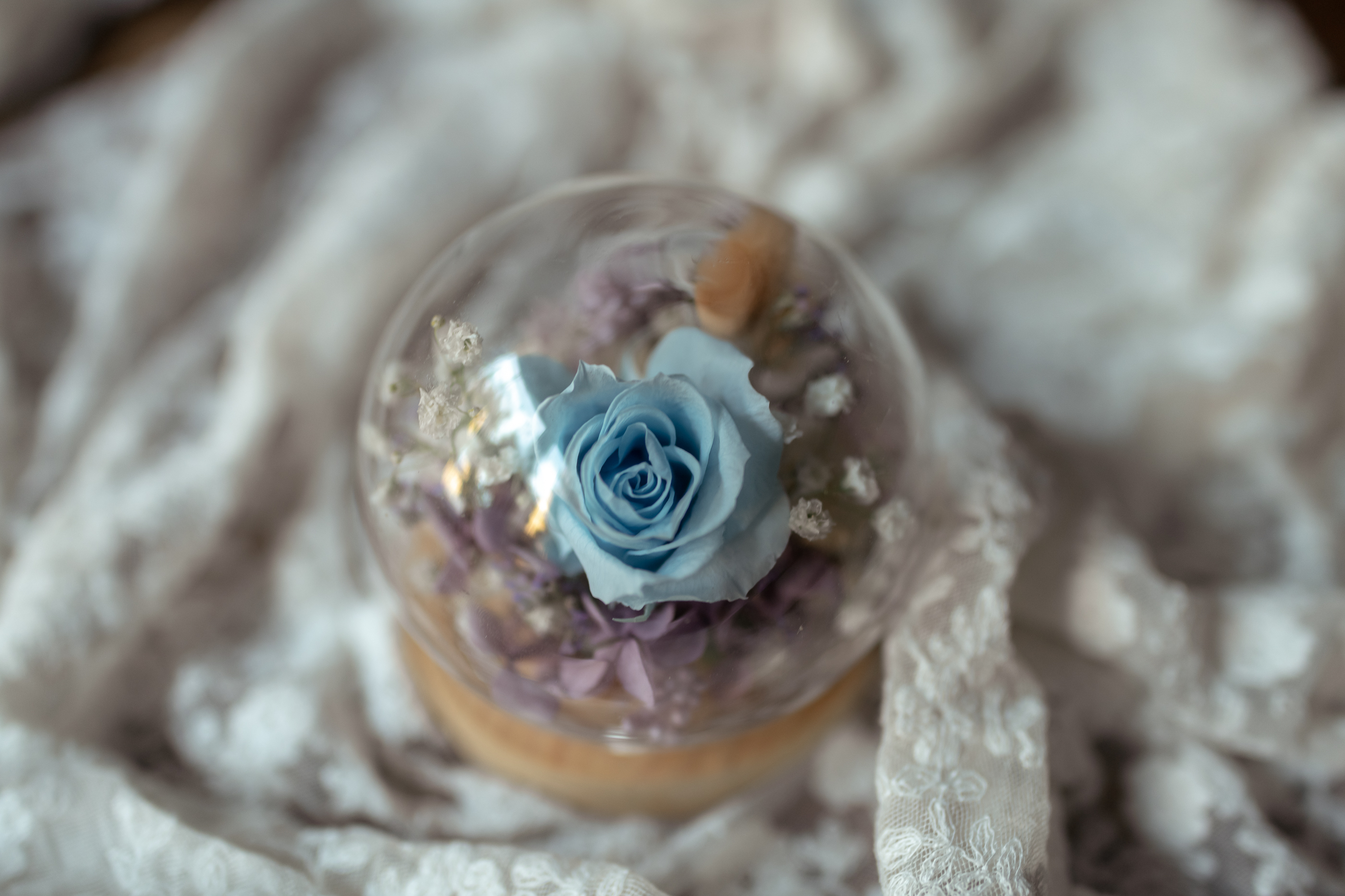 一朵藍玫 | 玻璃花盅