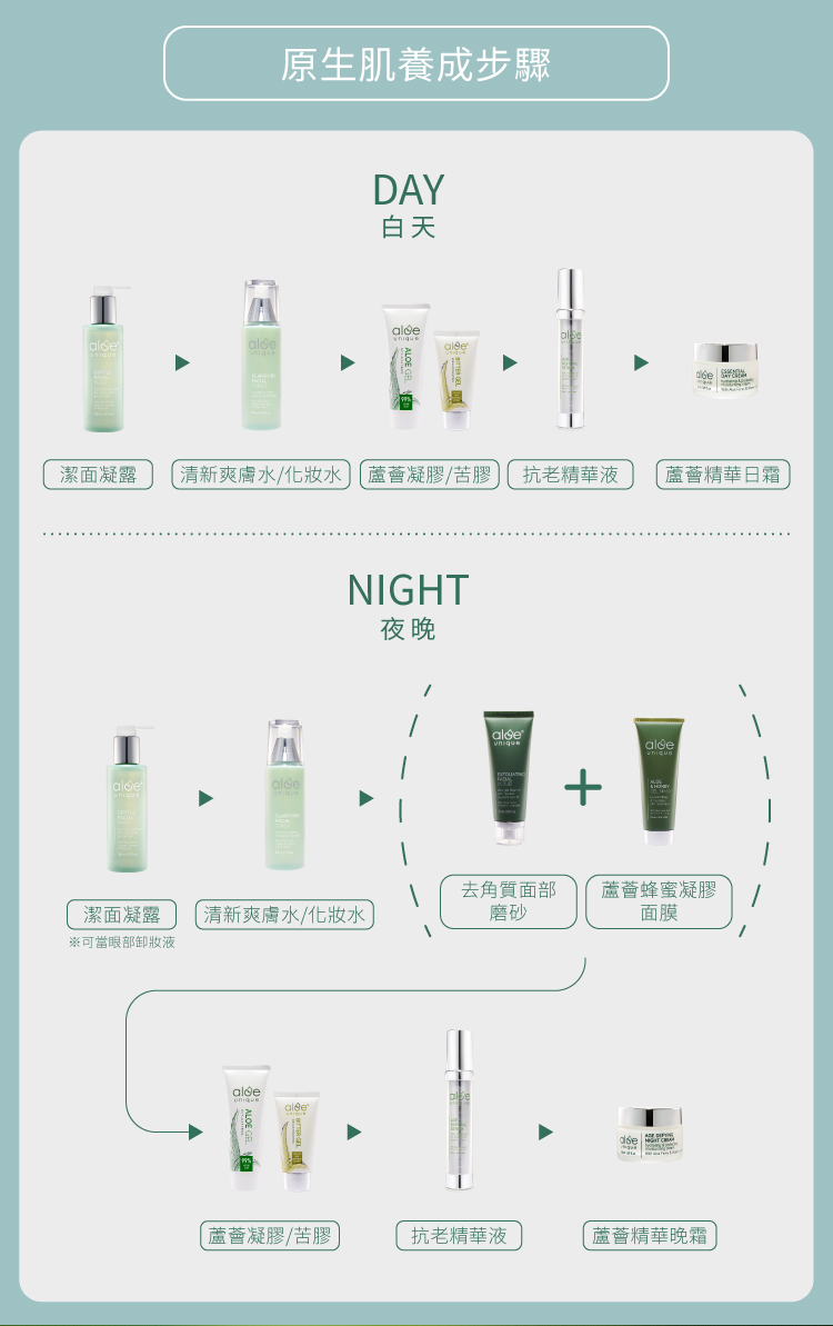 每日保養步驟