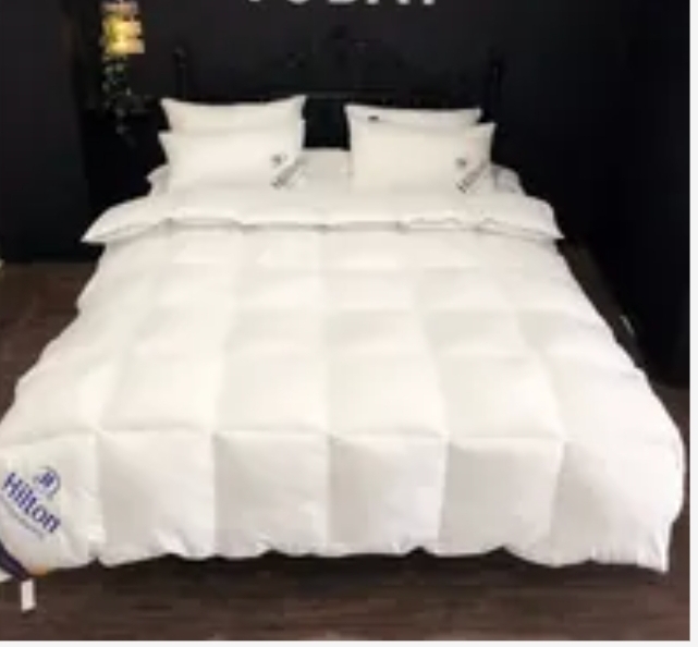 ca16430  Hilton羽絨被  200*230cm 顏色隨機 199/1 299/2