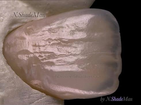 FEGUPOL - 8059 打亮膏