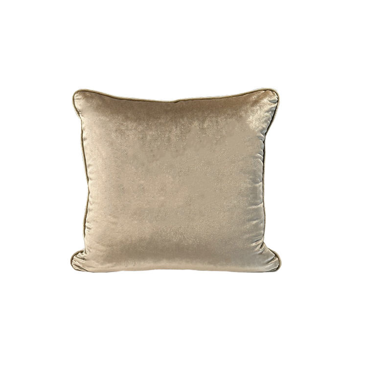 香檳金 絨布抱枕