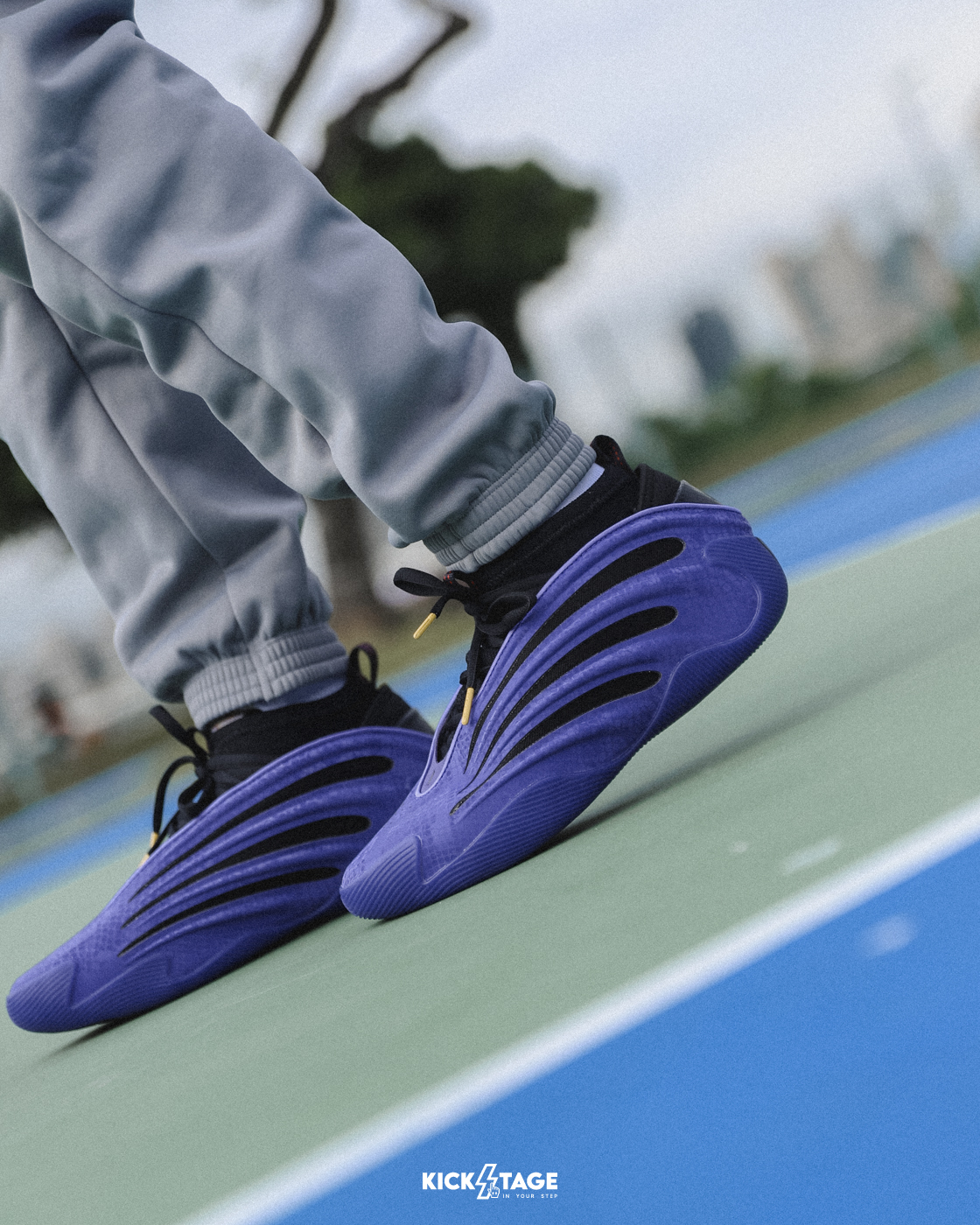 男鞋 ADIDAS HARDEN VOLUME 9 'Year Of The Snake' 紫黑 哈登 蛇年 復古 緩震 籃球鞋【JS0644】CNYSNAKE