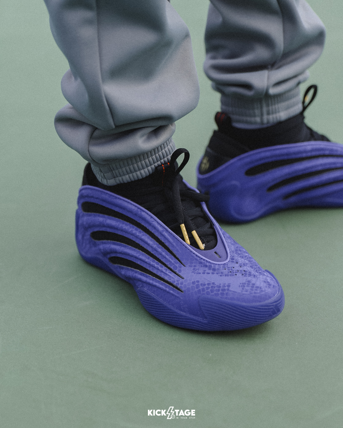 男鞋 ADIDAS HARDEN VOLUME 9 'Year Of The Snake' 紫黑 哈登 蛇年 復古 緩震 籃球鞋【JS0644】CNYSNAKE