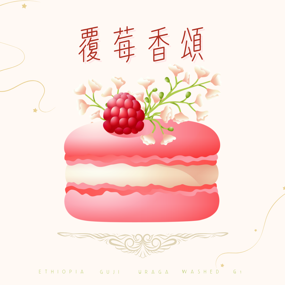 衣索比亞 覆莓香頌 水洗