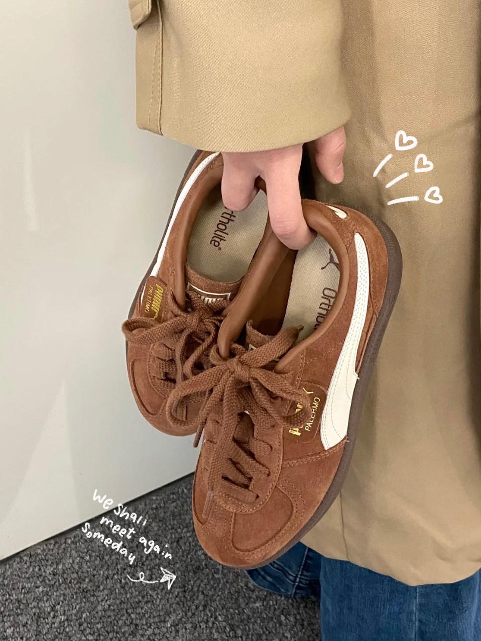 PUMA PALERMO 可可色 咖啡色 金標 男女鞋 396463-56 / 預購