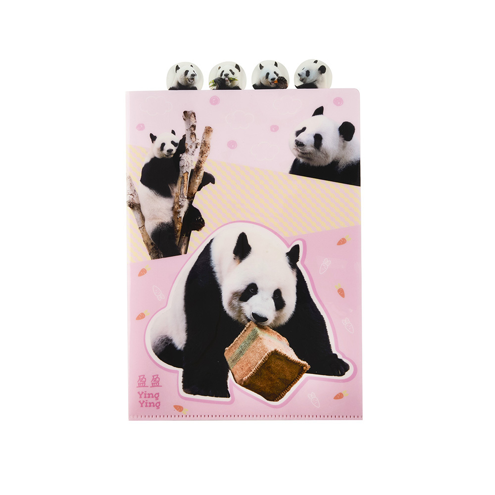 Ying Ying A4 Index Folder