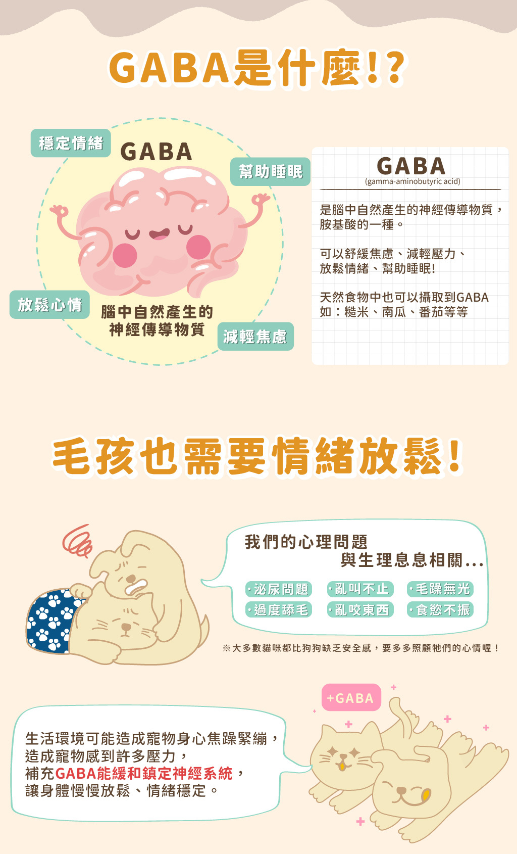 綿綿雞腿有著滿滿的GABA胺基丁酸幫寶貝增加營養